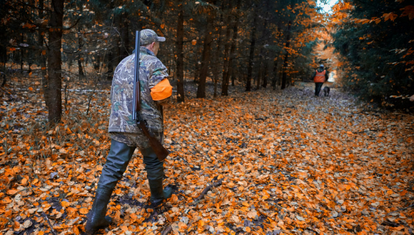 Comment se préparer pour sa première chasse ?