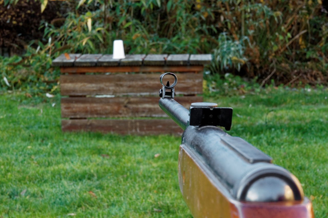 Les différentes armes de tir sportif