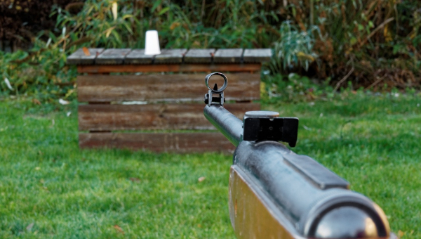 Les différentes armes de tir sportif