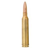 cartouche remington 7 rm core-lokt 175gr