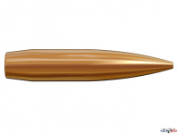 lapua-projectile-calibre-264-otm-scenar-gb458_1_1729439402