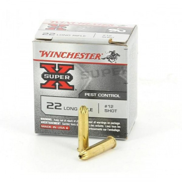 22lr winchester